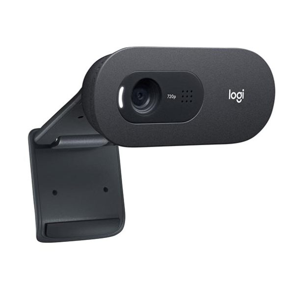 Logitech C505e HD Business Webcam (Grey)