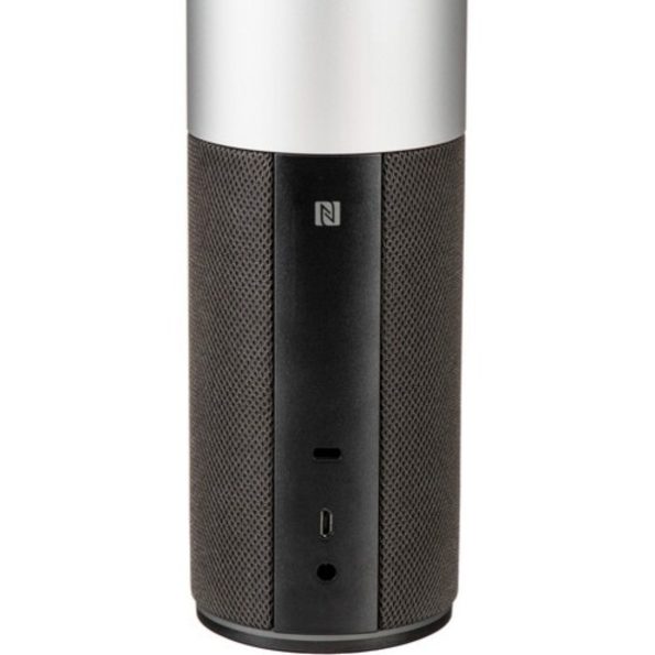 Logitech Conference Cam Connect