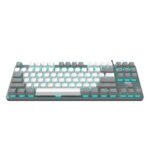 AULA F3287 Wired TKL Rainbow Mechanical Gaming Keyboard (White & Grey, Tactile Blue Switches)