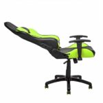 Ant Esports 9077 Ergonomic Gaming Chair (Black & Green)