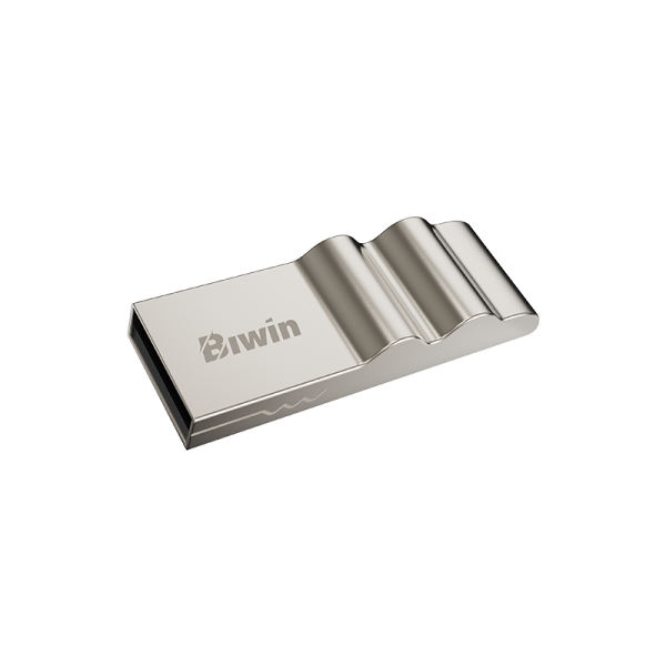 Biwin UD30