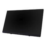 ViewSonic TD2230 22 Inch Full HD 10-Point Touch Portable Monitor