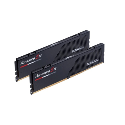 G.SKILL Ripjaws S5 Series 96GB (2 x 48GB) 288-Pin PC RAM DDR5 5600mhz Memory (F5-5600J4040D48GX2-RS5K)
