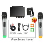 Fifine K036 Dual Microphone Kit