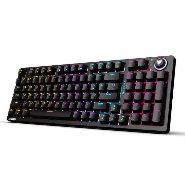 Amkette EvoFox Katana X2 FS