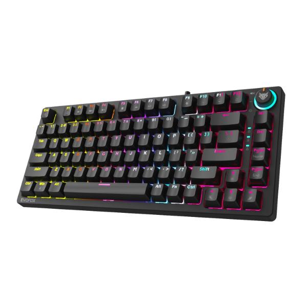 Amkette EvoFox Katana X2 TKL