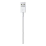 Apple Lightning to USB Cable 3