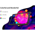 XP-Pen Artist 24