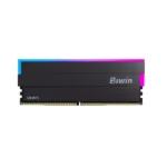 Biwin Black Opal DW100
