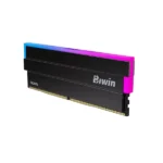 Biwin Black Opal DW100