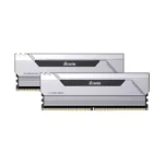 Biwin Silver Opal HX100