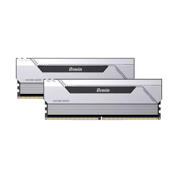 Biwin Silver Opal HX100