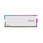 Biwin White Opal DW100