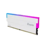 Biwin White Opal DW100