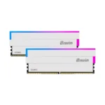 Biwin White Opal DW100