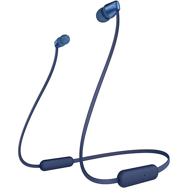 C310 Blue 2