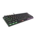 Coconut K21 Virgo Mini 2
