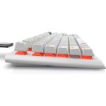 Dell Alienware AW920K Tri-Mode Wireless Backlit Mechanical Gaming Keyboard (Lunar Light) - Image 3