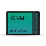 EVM 256GB Internal SSD 2.5" INCH SATA