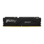 Fury beast 1 1