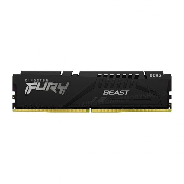 Fury beast 1 1