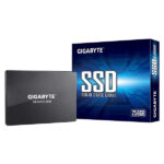 Gigabyte 256 GB 1