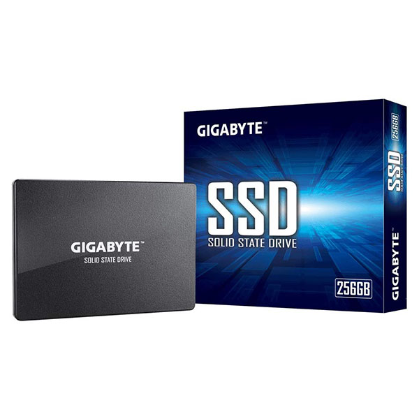 Gigabyte 256 GB 1