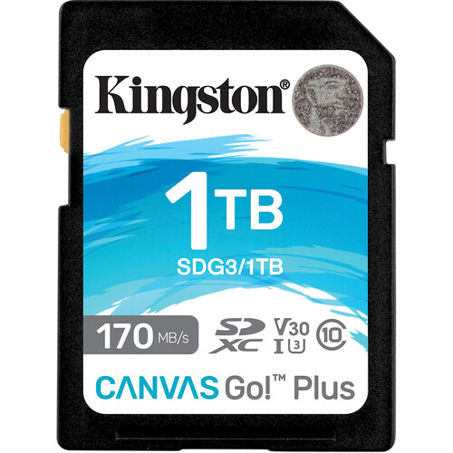 Kingston 1TB Canvas Go