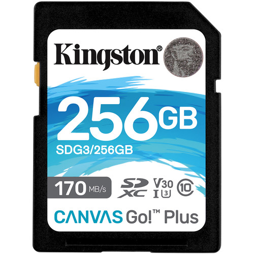 Kingston 256GB Canvas Go