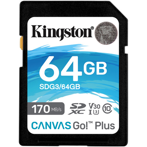 Kingston 64GB Canvas Go