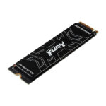 Kingston FURY Renegade