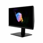 MSI NXG253R 1