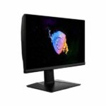 MSI NXG253R 2