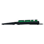 Ornata v3 X 1