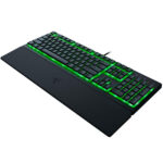Ornata v3 X 2
