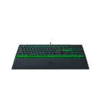 Ornata v3 X 3