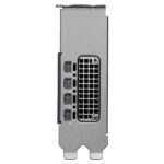 PNY NVIDIA RTX PRO 2000 Blackwell Graphics Card - Image 3