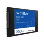 Western Digital WD Blue 250GB SATA INTERNAL SSD