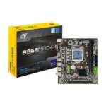 Ant Esports Ant Value B365MAD4